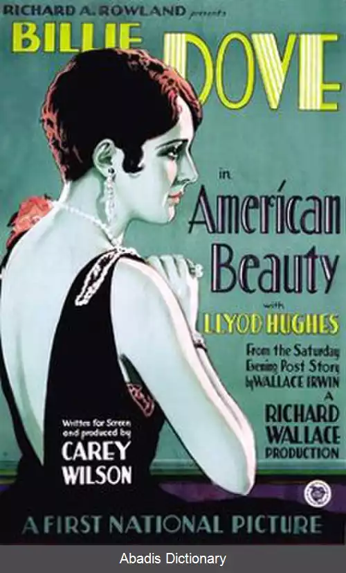 عکس زیبای آمریکایی (فیلم ۱۹۲۷)
