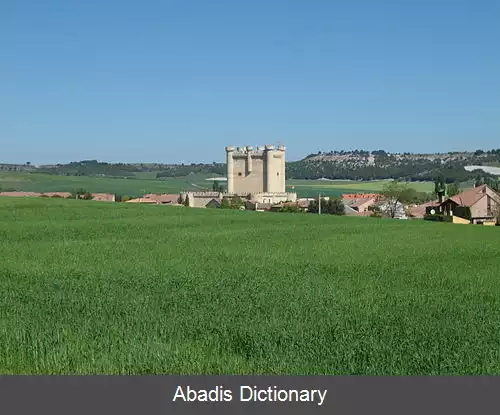 عکس فوئنسالدانیا