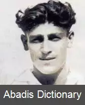 عکس زولیو سالدومباید