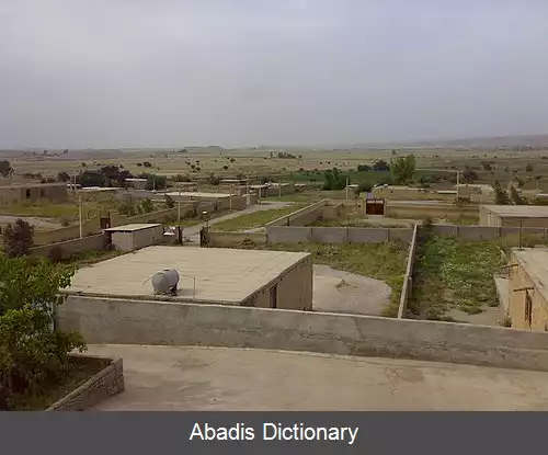 عکس چاه برگی