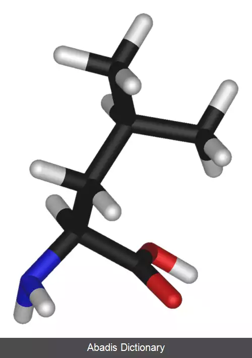 عکس لوسین (اسید آمینه)