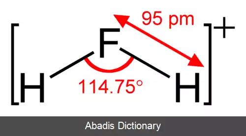 عکس فلورونیوم