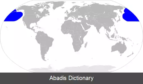 عکس کاکایی پاسرخ