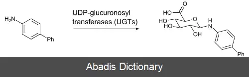 عکس گلوکورونیداسیون
