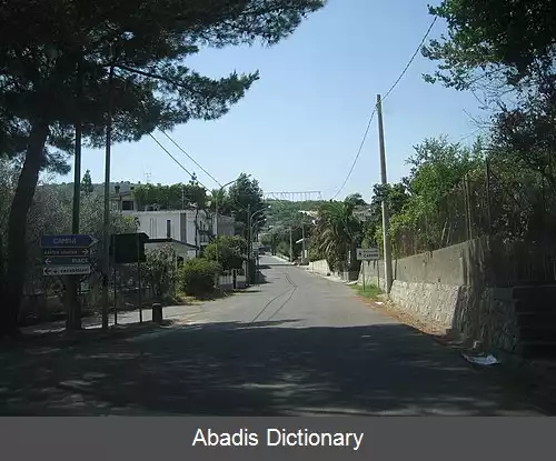 عکس کامینی