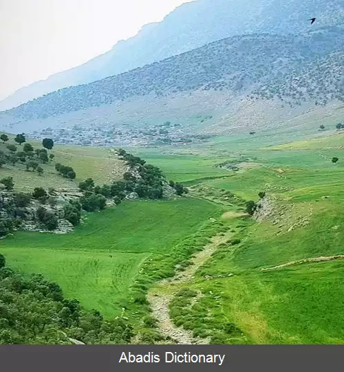 عکس گدمه