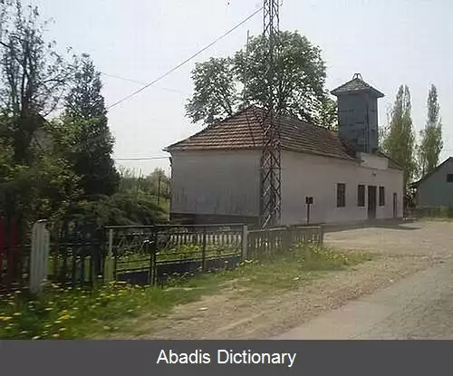 عکس برکلوجانی