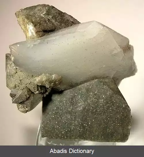 عکس وولیت