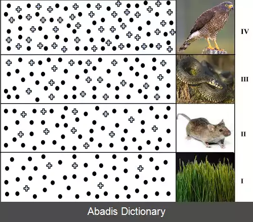 عکس زیست انباشتگی افزایشی