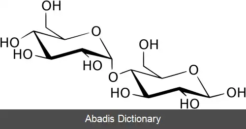 عکس مالتاز