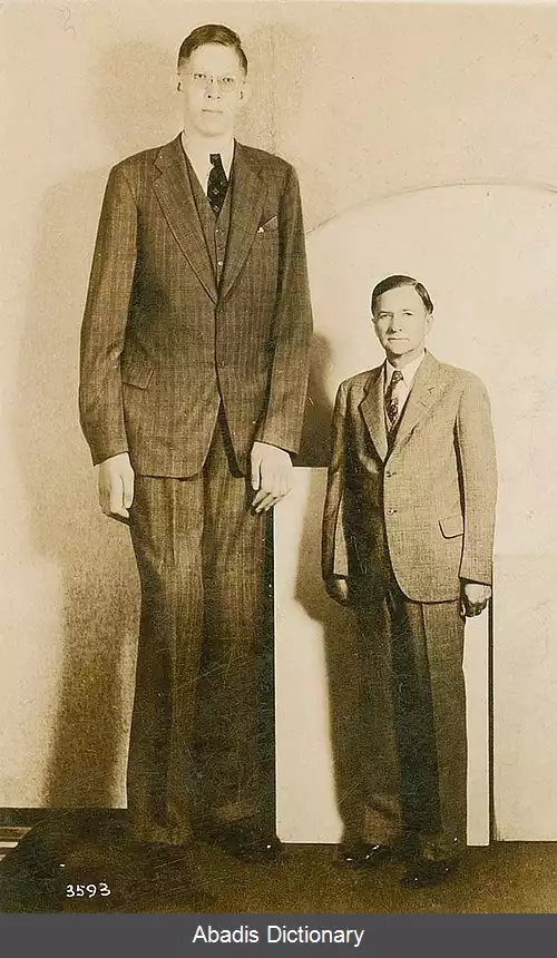 عکس بلندقدترین انسان ها