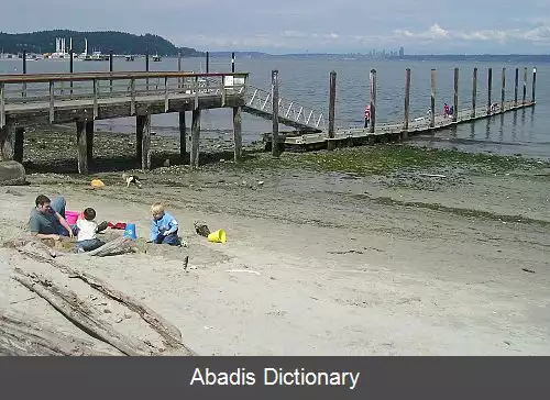 عکس منچستر واشینگتن