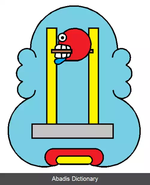 عکس زومپانگو