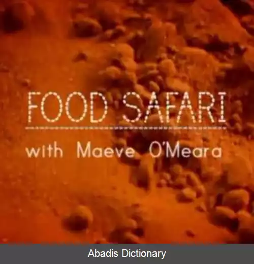 عکس فود سفری