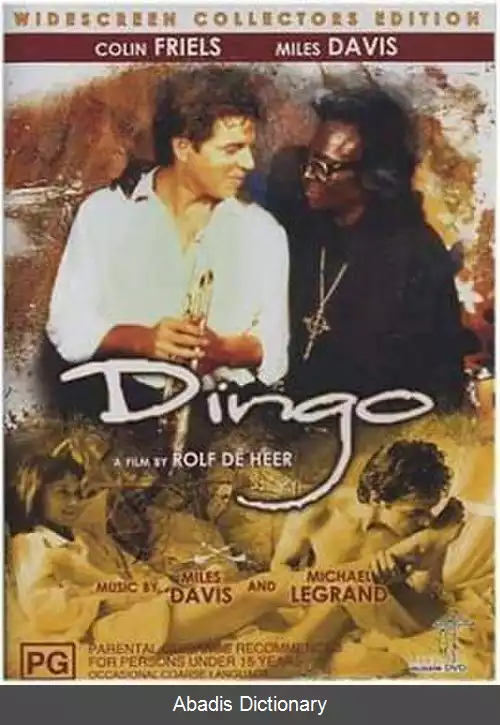 عکس دینگو (فیلم)