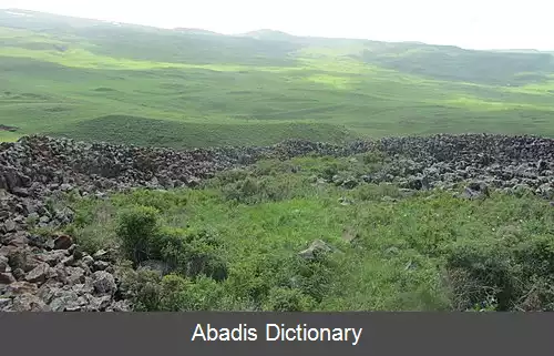 عکس سوابرد