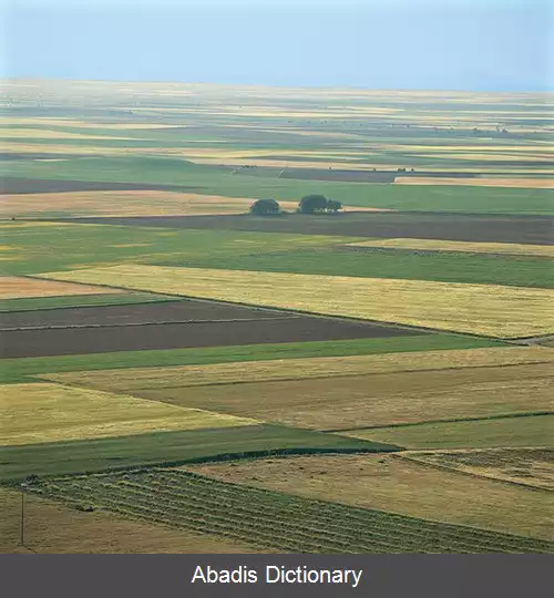 عکس زمین (کشاورزی)