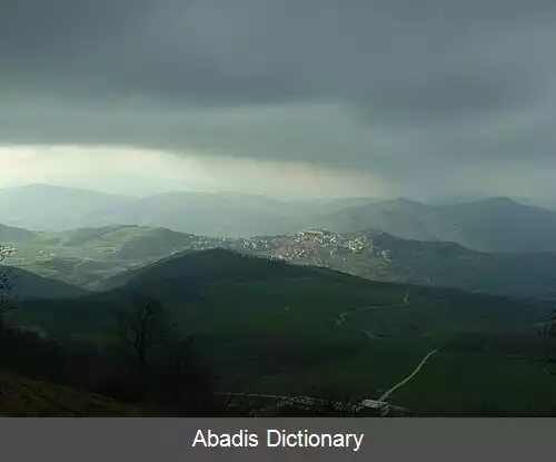 عکس دلیچتو