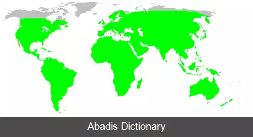 عکس عنکبوت های گوشه نشین