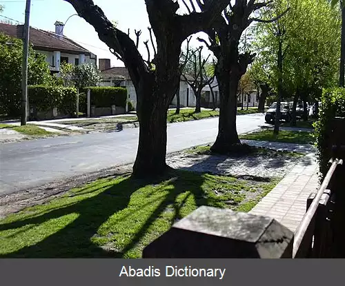 عکس سیتی بل