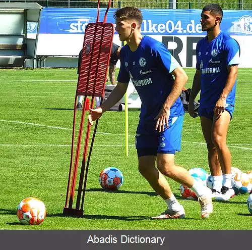 عکس فلوریان فلیک