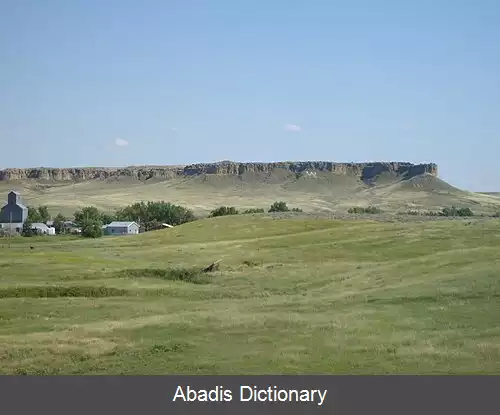 عکس وینت