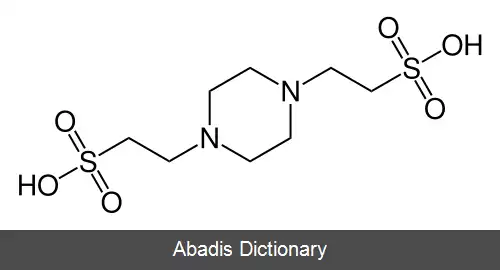 عکس پی آی پی ئی اس