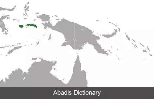عکس خفاش میوه خوار سرام