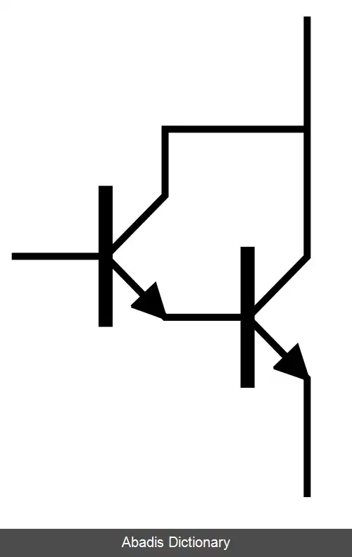 عکس زوج دارلینگتون