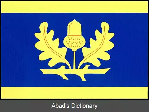 عکس سنوویدکی