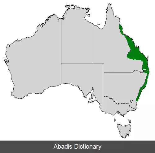 عکس زنجره آسیابان