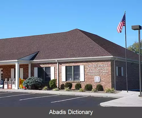 عکس استراوبری پلینز تنسی