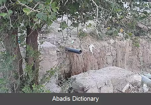 عکس ارزنه (باخرز)