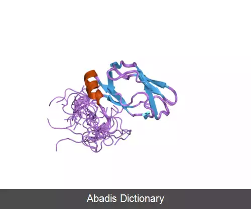 عکس دی هیدرولیپویل ترانس استیلاز