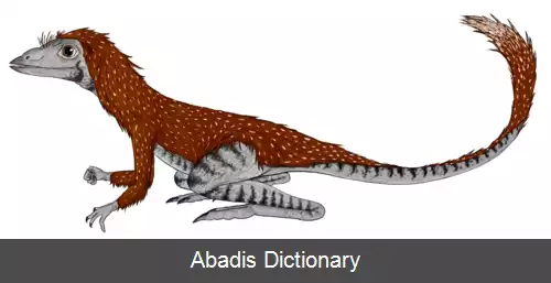 عکس کنگونافون