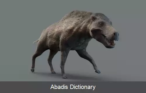 عکس دیودون
