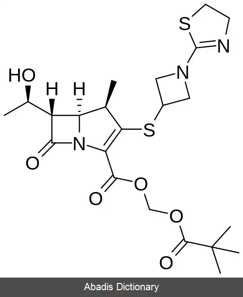 عکس تبی پنم