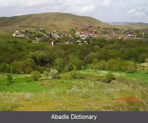 عکس زرجه بستان