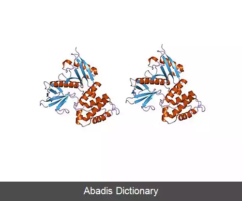 عکس ازرین