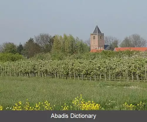 عکس اسخؤن روورد