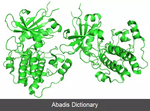 عکس پروتئین کیناز بی