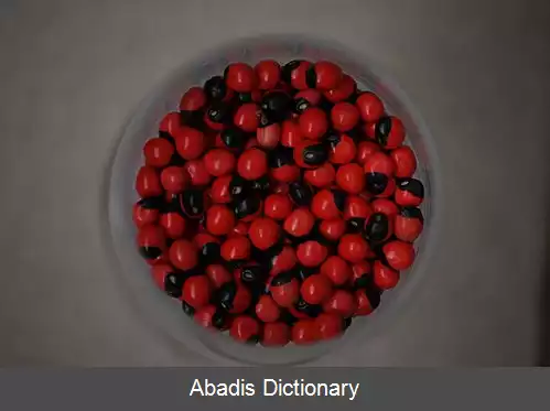 عکس چشم خرچنگی
