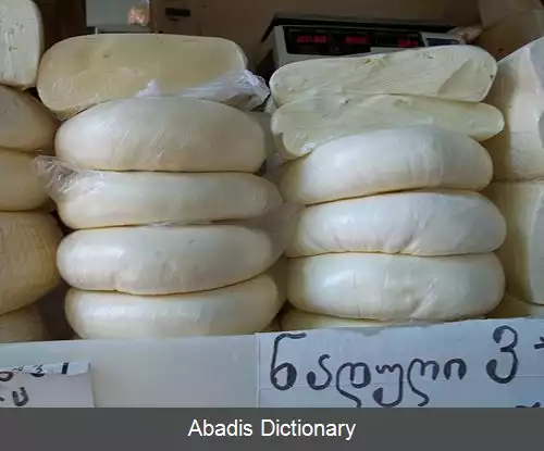 عکس سولگونی