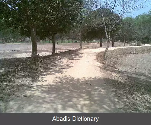 عکس بولی ساکیپور