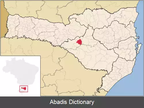 عکس برونوپولیس