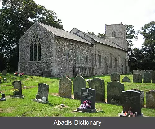 عکس استنفیلد نورفک