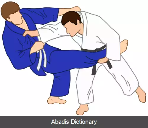 عکس کیبیسو گائشی