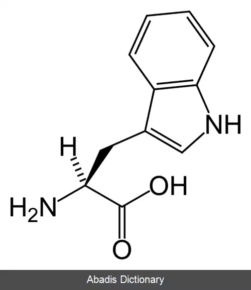 عکس آمینو اسیدهای آروماتیک
