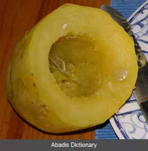 عکس کدو اسپاگتی