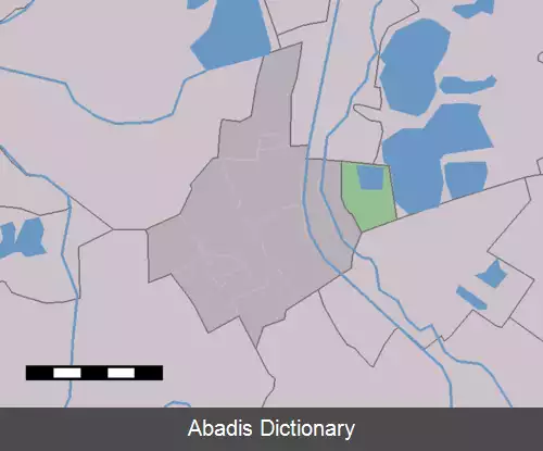 عکس اسخین دیک